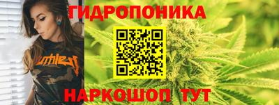 a pvp Канаш