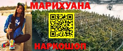 спайс Кандалакша