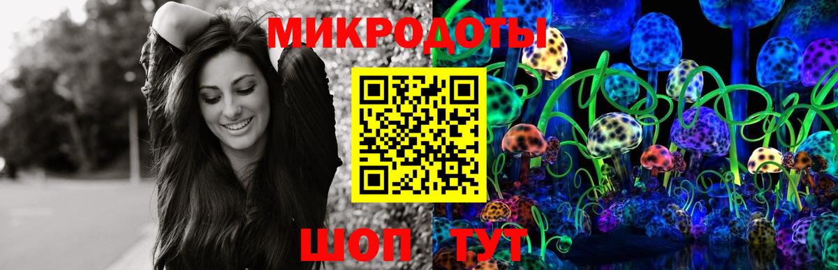 Черногорск  Псилоцибиновые грибы ЛСД  Вход с VPN 